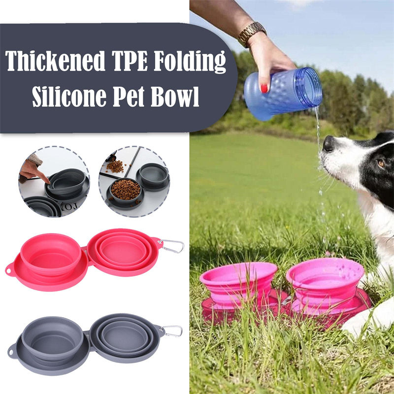 Double Bowl Pet Feeding