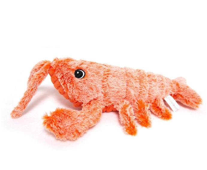 Pet Toys