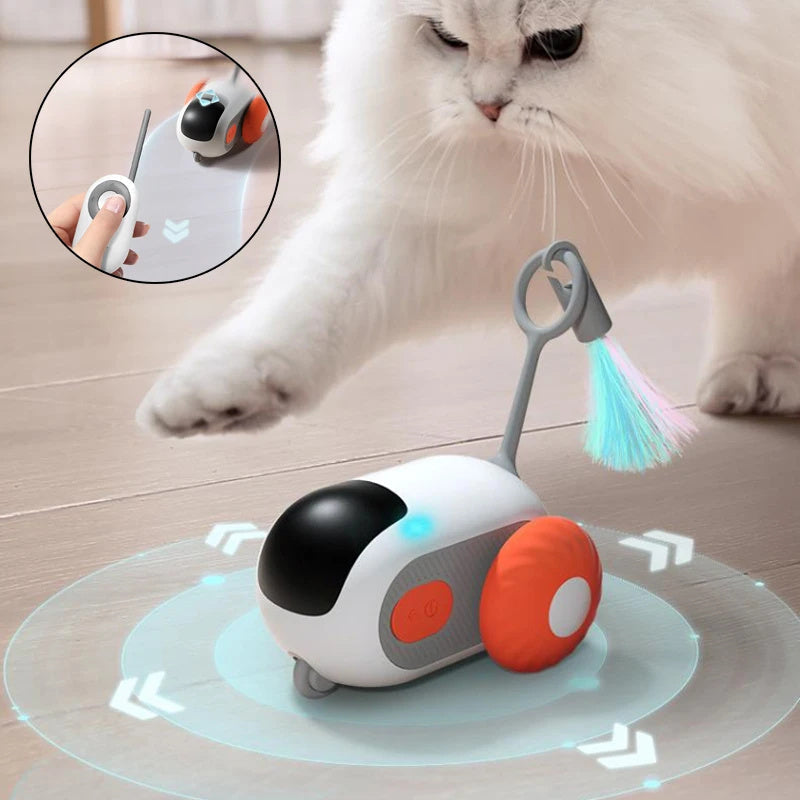 Remote Control Car