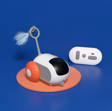 Remote Control Car