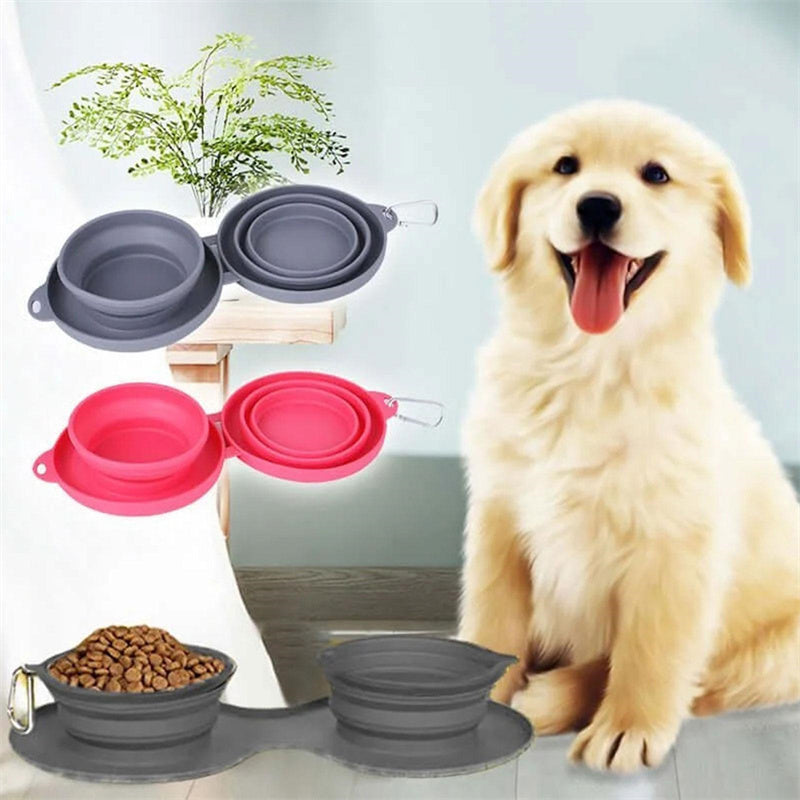Double Bowl Pet Feeding