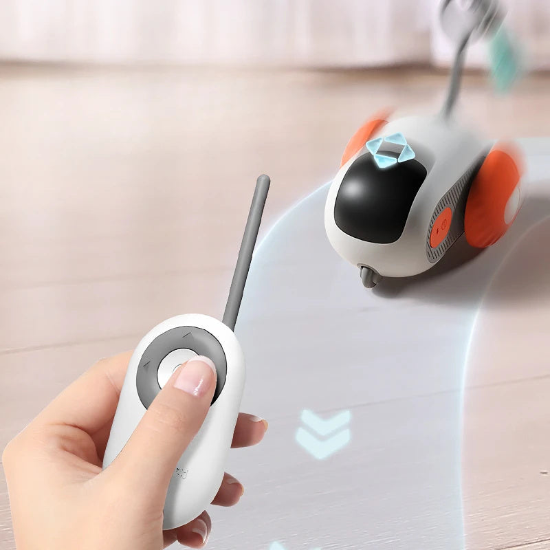 Remote Control Car