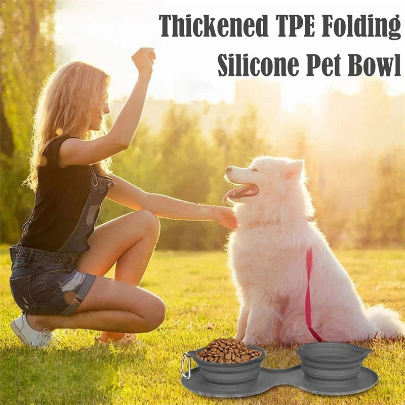 Double Bowl Pet Feeding