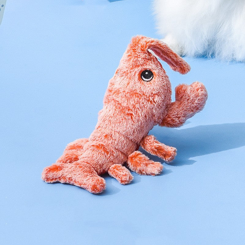 Pet Toys