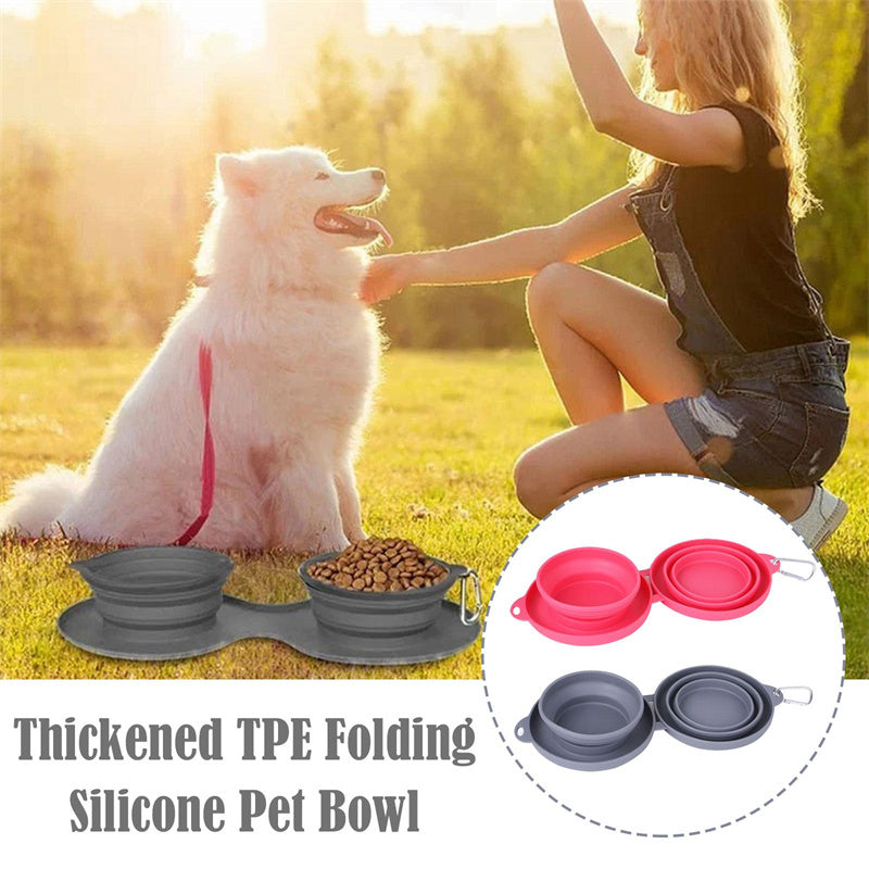 Double Bowl Pet Feeding