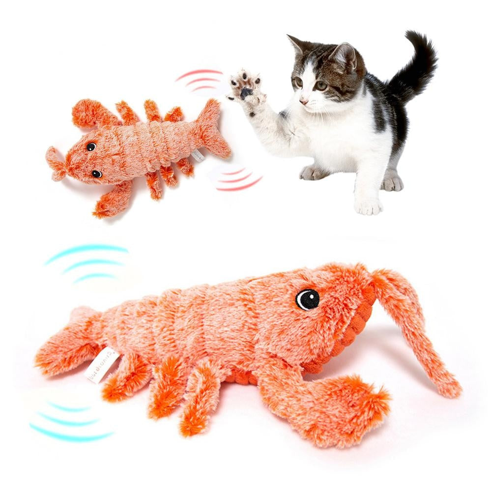 Pet Toys