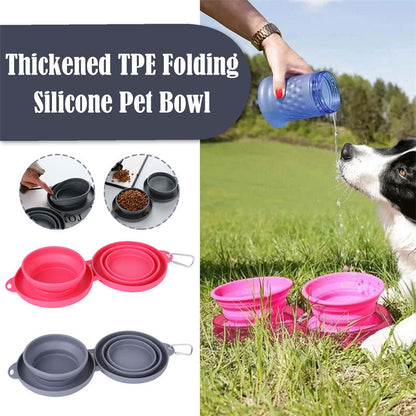 Double Bowl Pet Feeding