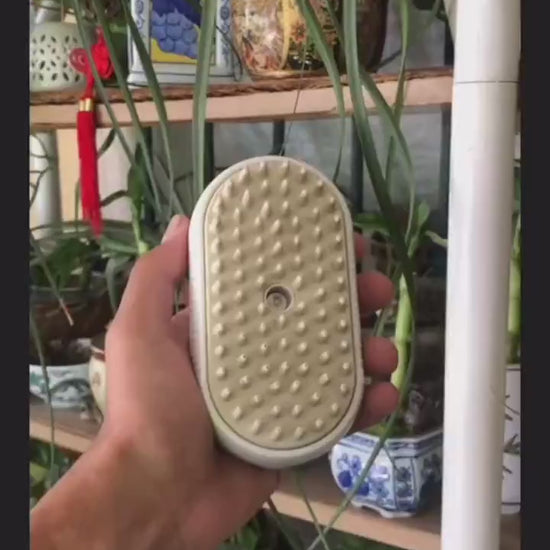 Brush