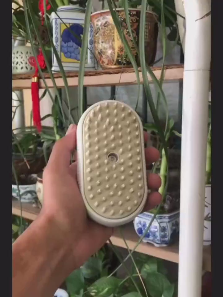 Brush